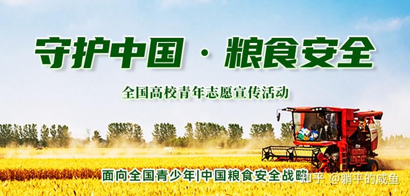 守护中国 粮食安全志愿服务 - 知乎