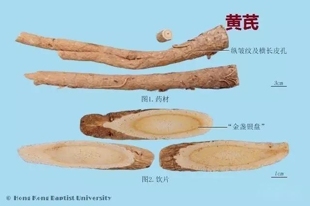 223种中药的鉴别图谱(彩图注释) - 知乎