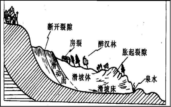 滑坡组成要素示意图图片