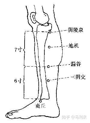 人體的任脈,督脈,衝脈這三條經脈的經氣都同起於胞宮(子宮和卵巢).