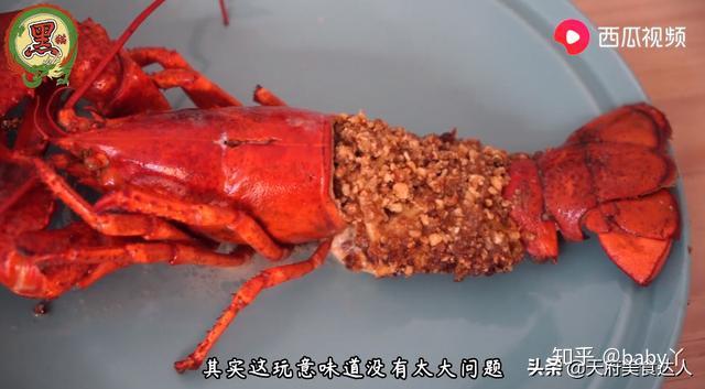 龙虾视频大全集最新 v2-b55cffeea85d961fe645523433ad0629_r.jpg