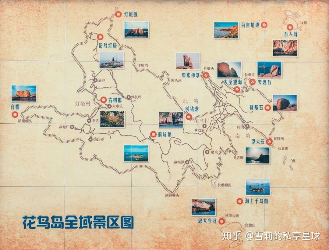 东海这座夏日必去的网红小岛,与你共赴花鸟之约