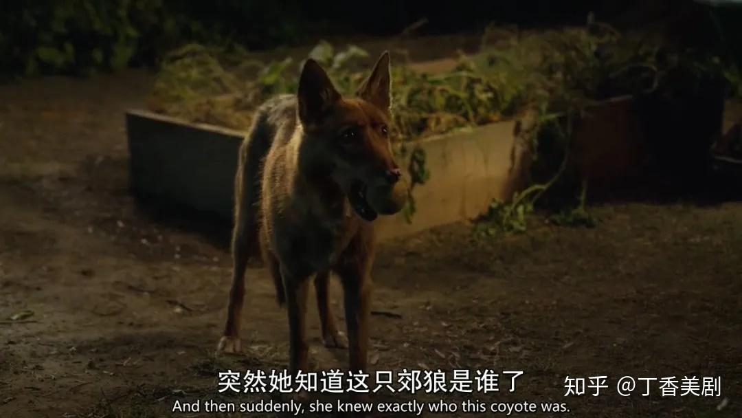 一集就约p网飞这部大尺度我只敢偷偷看