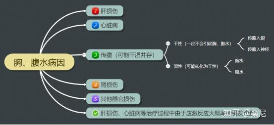 大心脏是什么意思，大心脏是什么意思第五人格