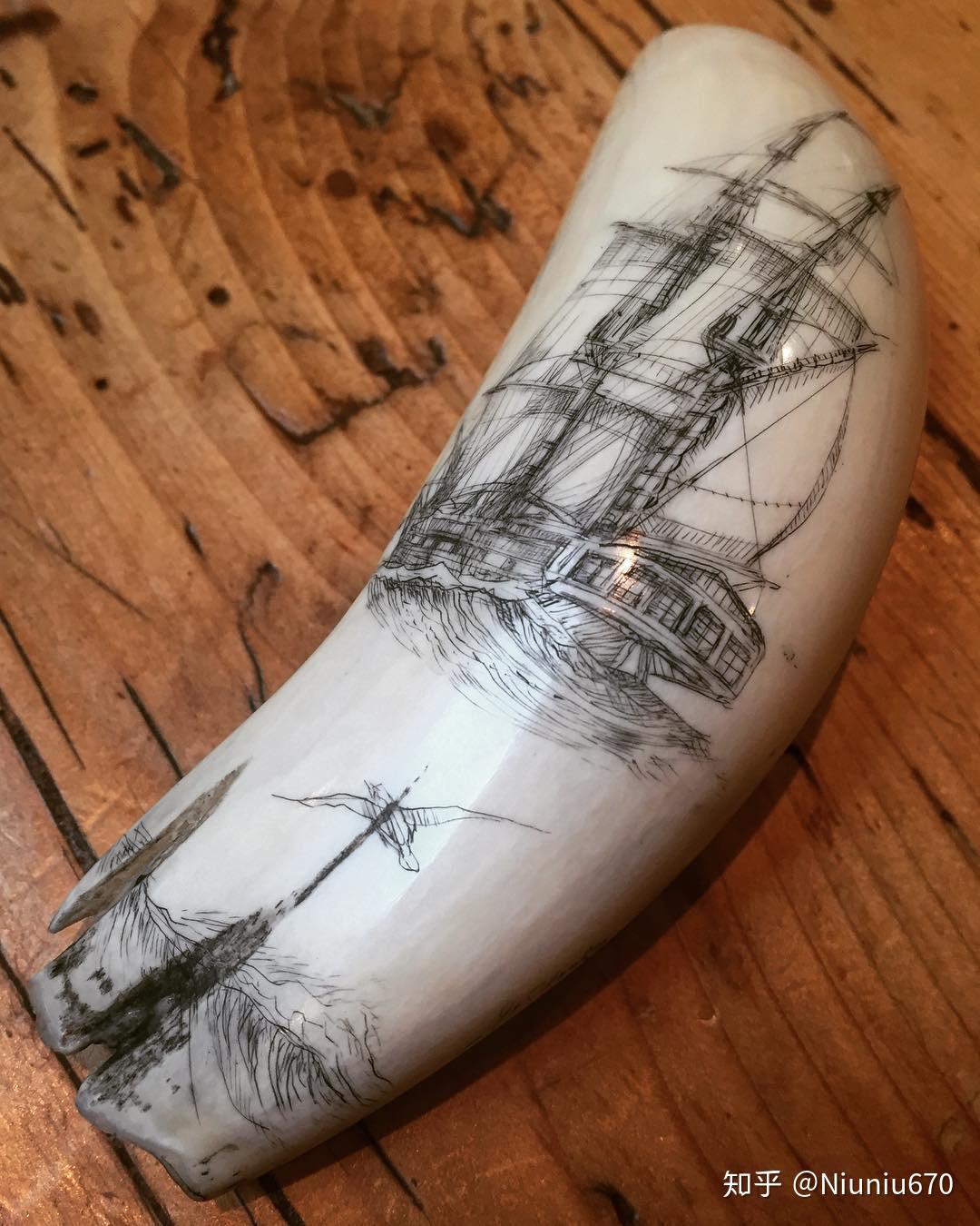 抹香鲸牙收藏符合规定吗