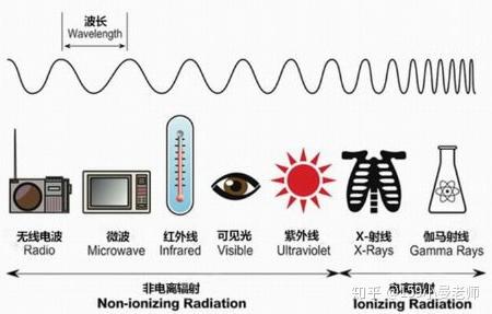 圣泉集团2024年半年度董事会经营评述