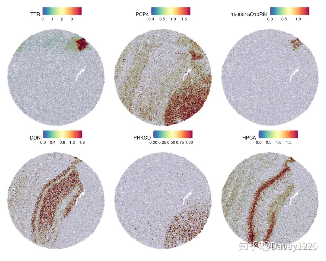 Seurat包学习笔记（三）：Analysis Of Spatial Datasets - 知乎