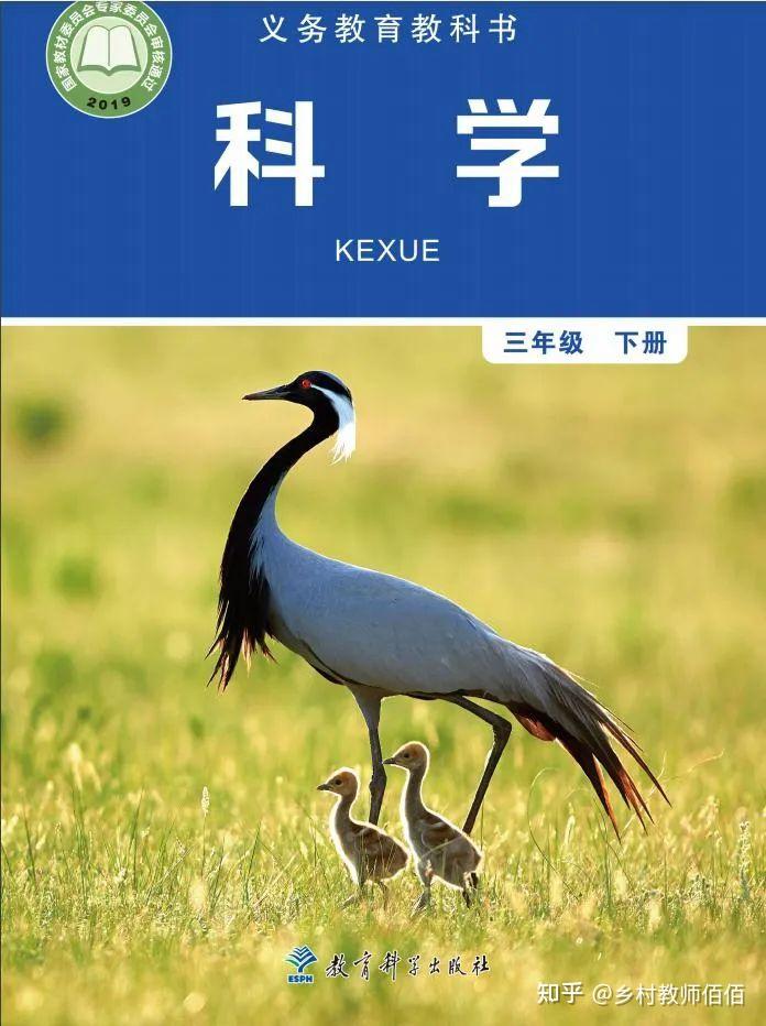 新教科版科学三年级下册教案2019