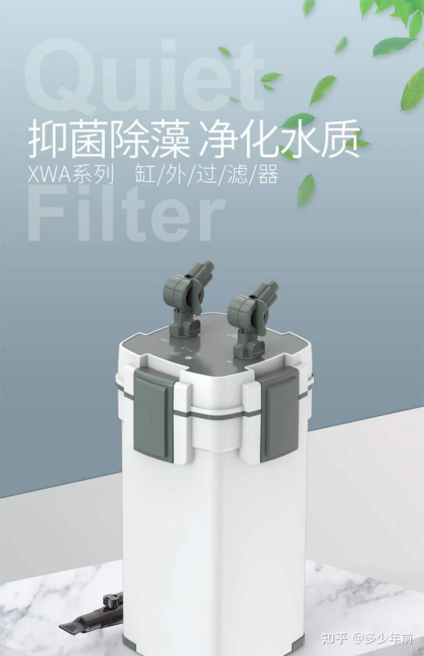 滴流过滤与底滤对比_鱼缸过滤形式选择_鱼缸里的月光鱼怎么养才好