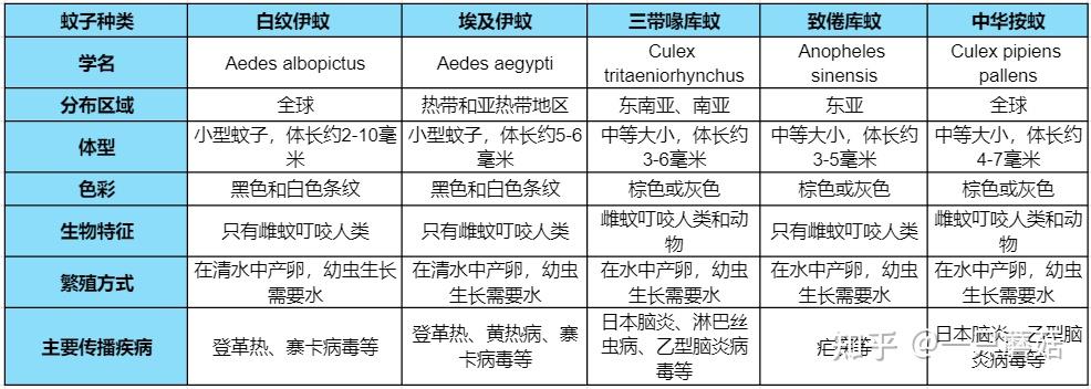 白点伊蚊图片