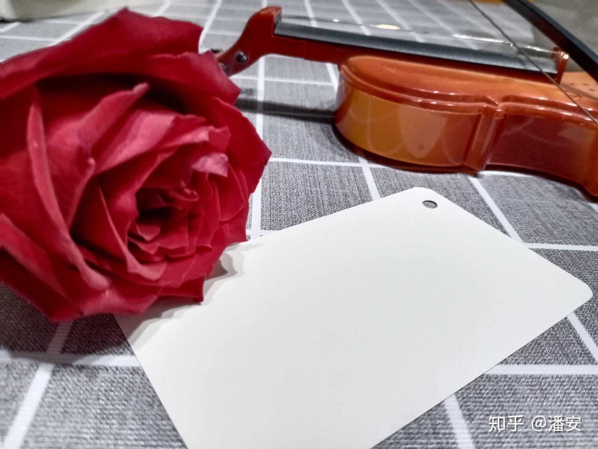 手写底图《玫瑰》