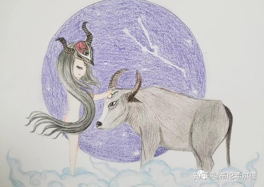 彩铅插画—金牛座