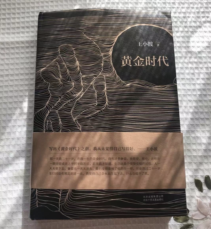 王小波 黄金时代 读后感 Book List 知乎