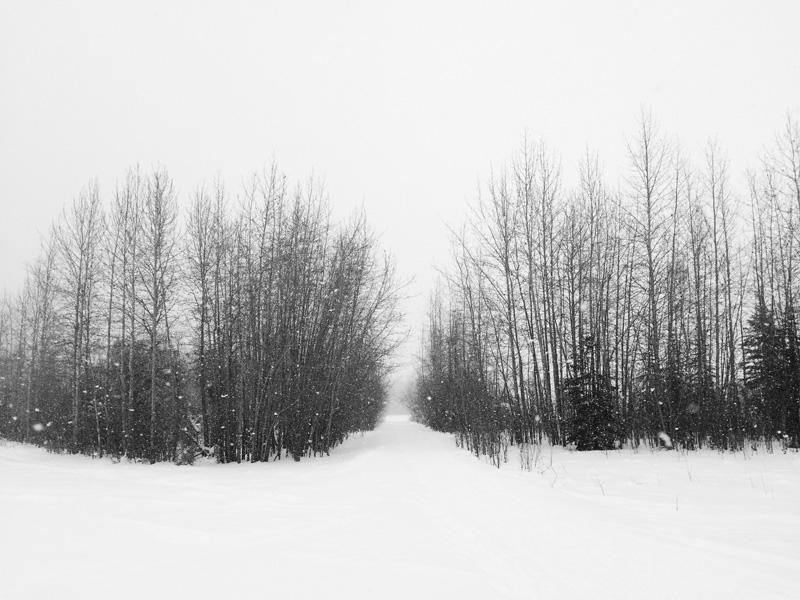 v2-b5f7ff3ab9b647781646533a12d07b28_r.jpg