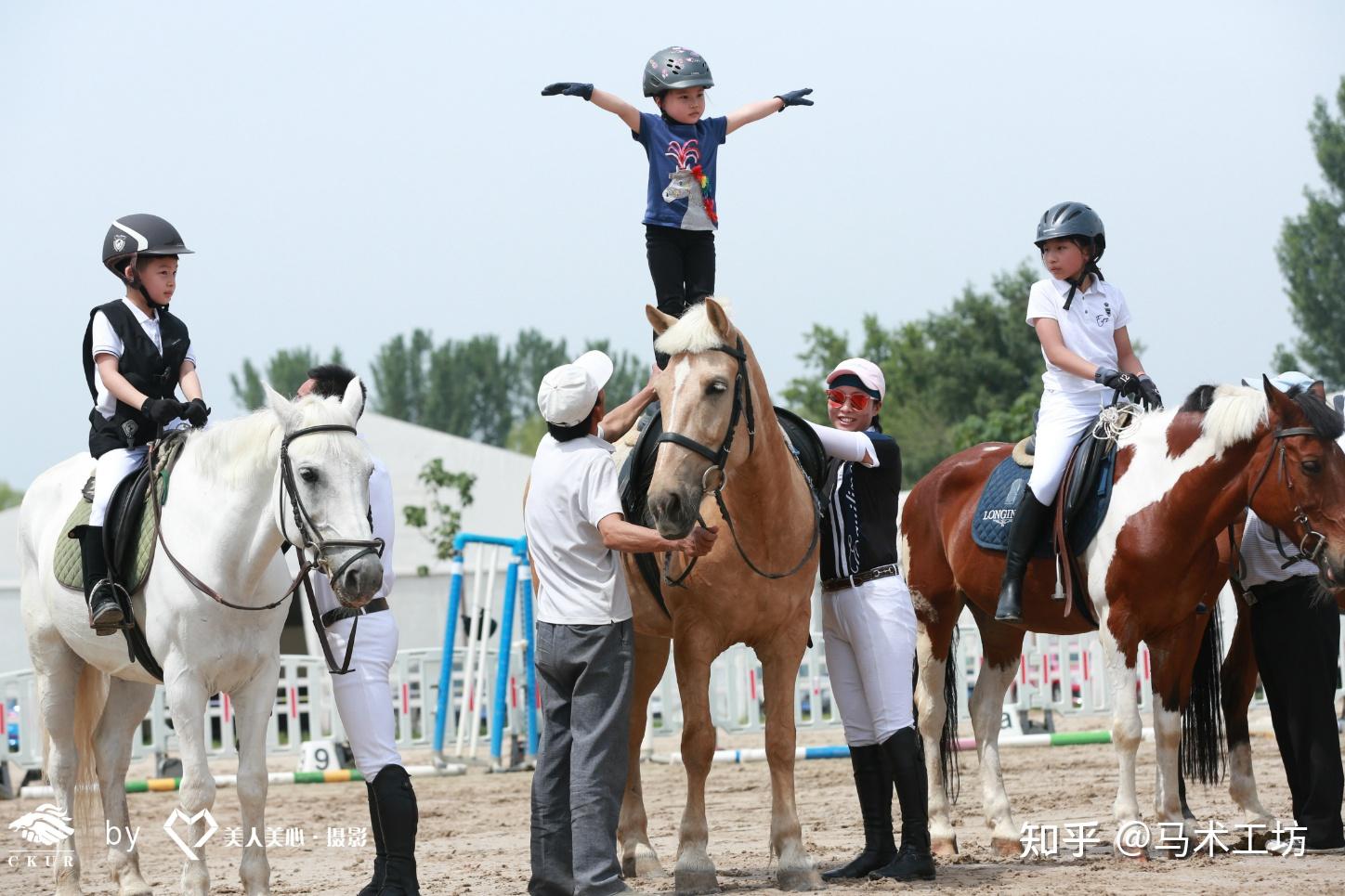上1节马术课叫体验上20节课叫变化上100节课叫蜕变