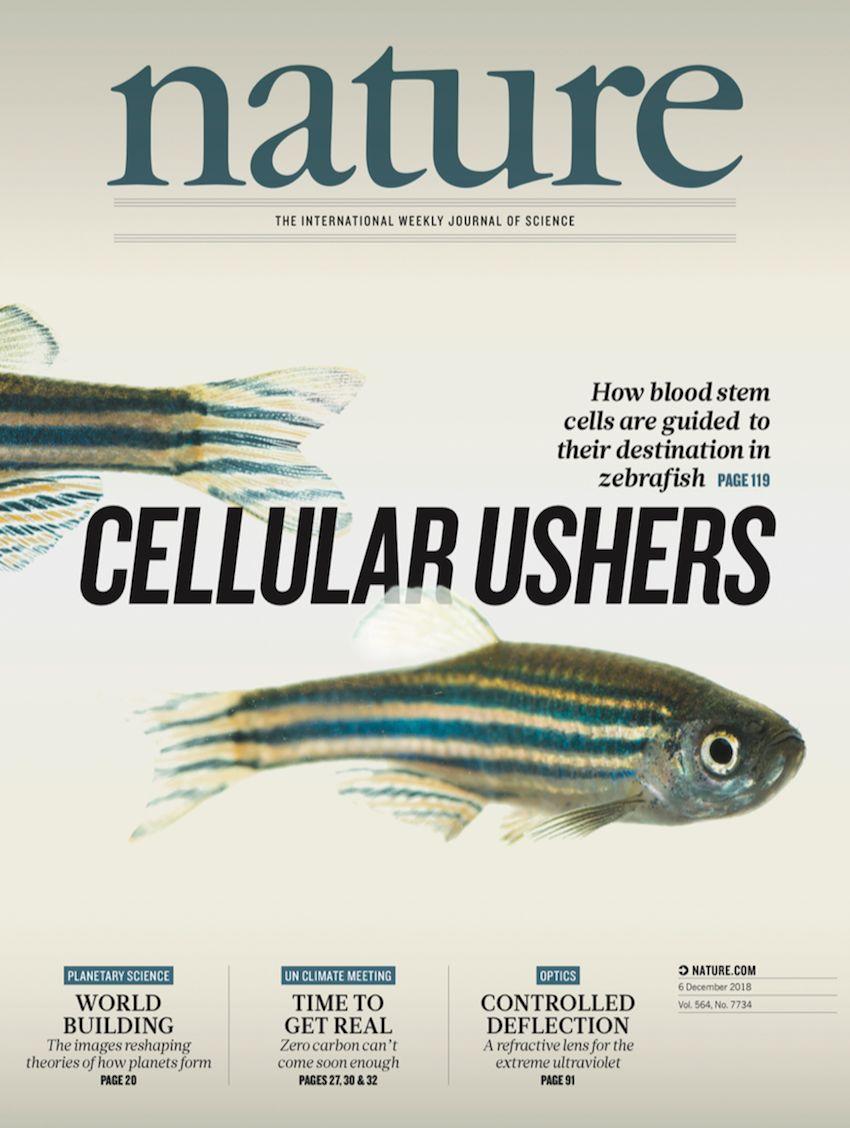 21世纪以来登上nature杂志封面的13篇中国论文