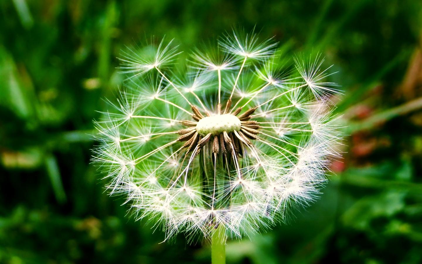 淘宝客是什么 怎么注册淘宝联盟