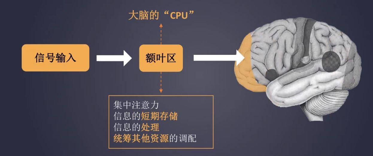cpu超负荷，cpu超负荷是什么意思