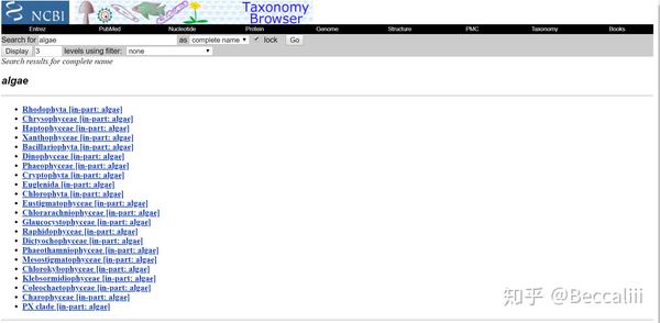 ncbi-taxonomy-browser