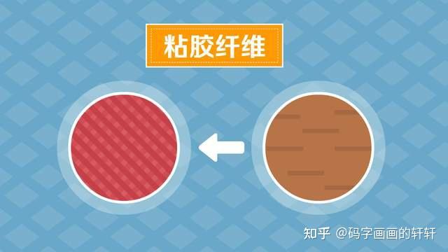 你知道什么是黏胶、粘纤吗？粘胶纤维有哪些分类及应用？ - 知乎