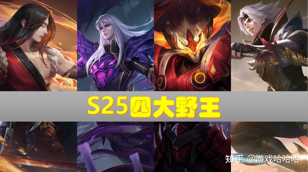 王者荣耀澜废了诸葛亮废了s25赛季还有哪些野王英雄