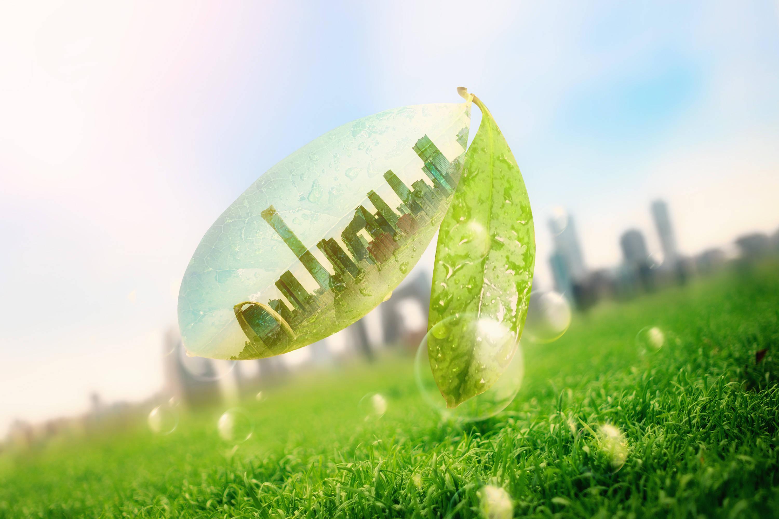 在万亿级市场背景下,我们该如何推进开展公共机构绿色低碳引领行动? -