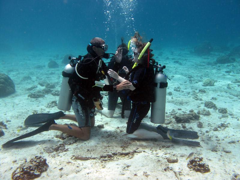 ow潜水证入门小贴士