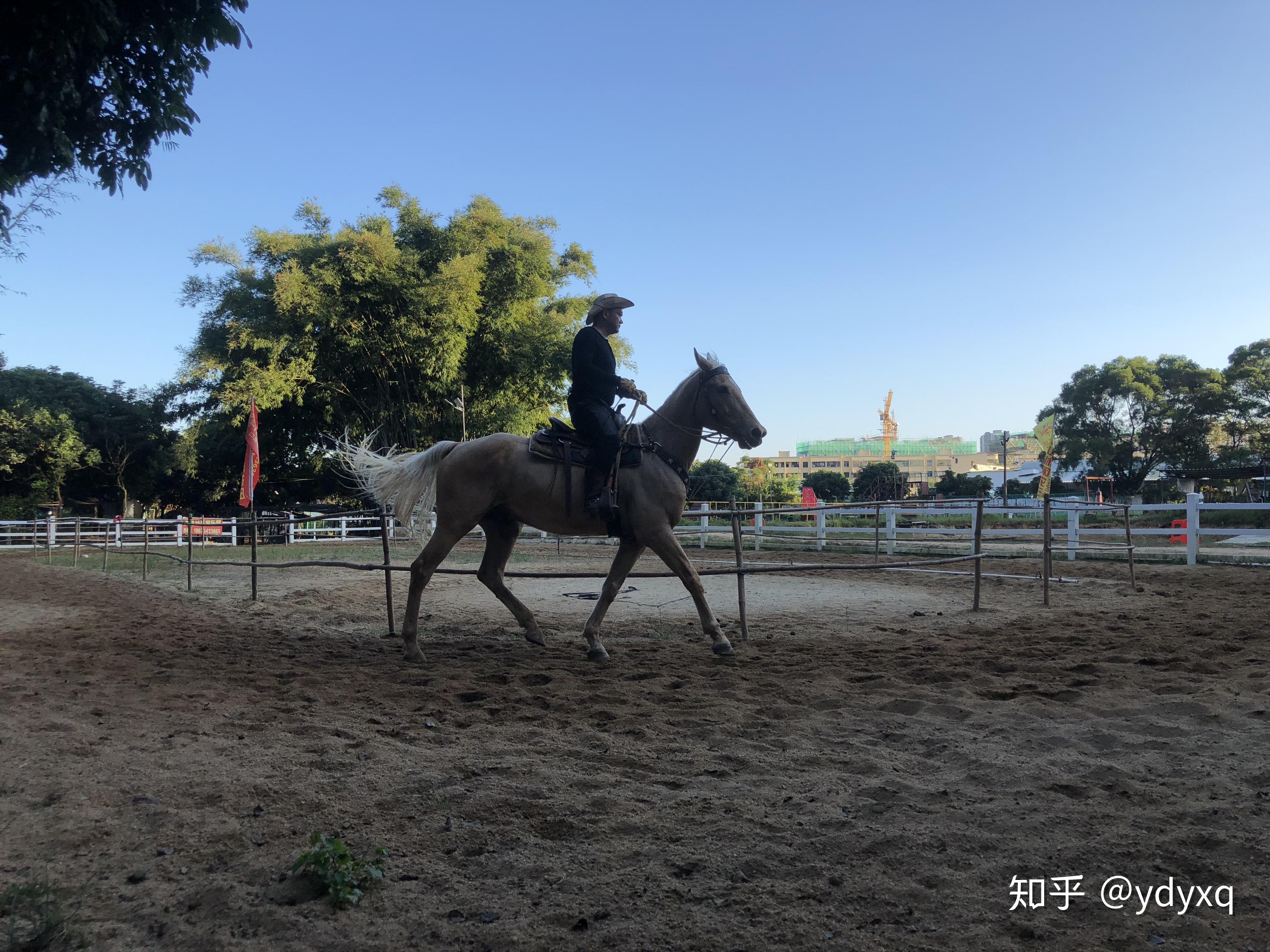 珠海骑马/珠海马场/珠海英格马术俱乐部