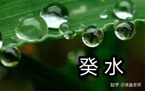 【癸水】2023癸卯年运势 - 知乎