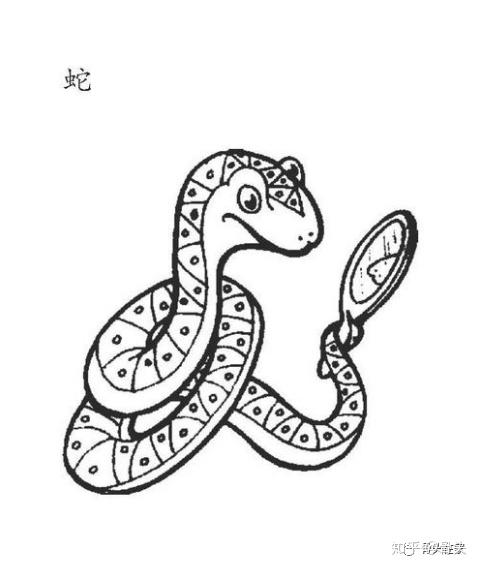 梦境与蛇 - 知乎