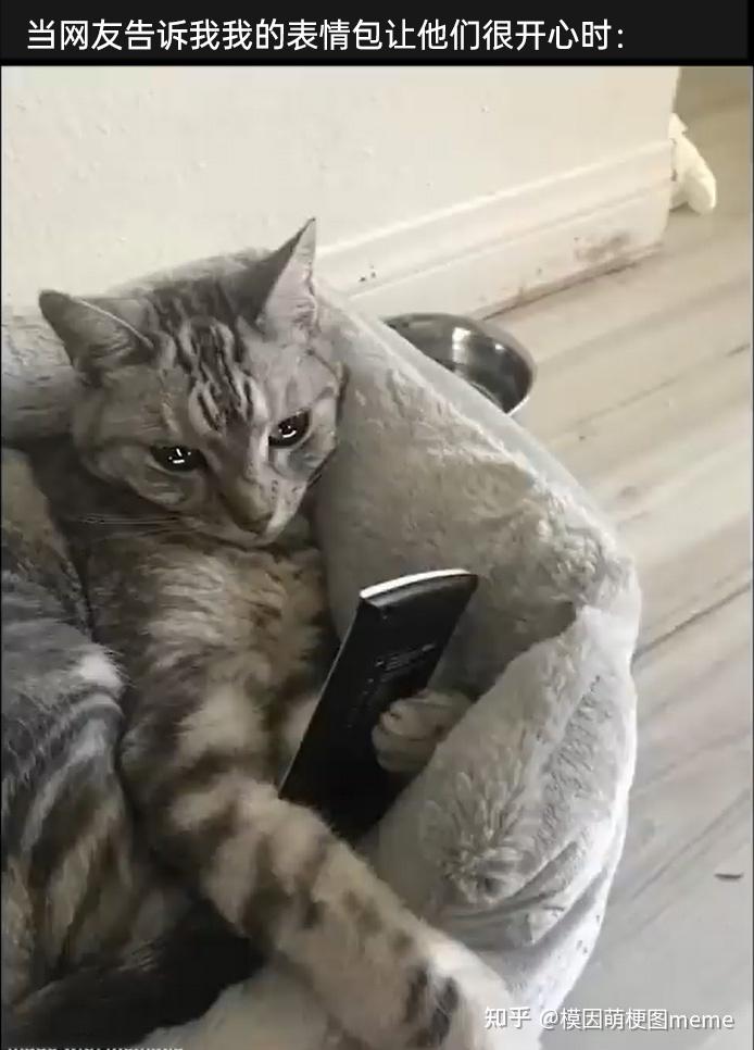meme梗图:生命中的每一个尴尬时刻 - 知乎