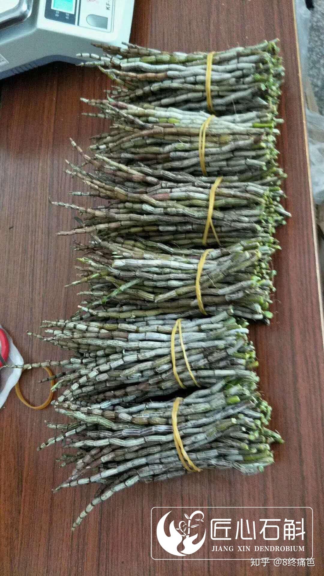 怎么区分霍山匠心石斛的真假