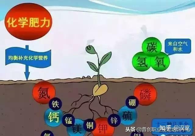 什么是水体富营养化 - 知乎