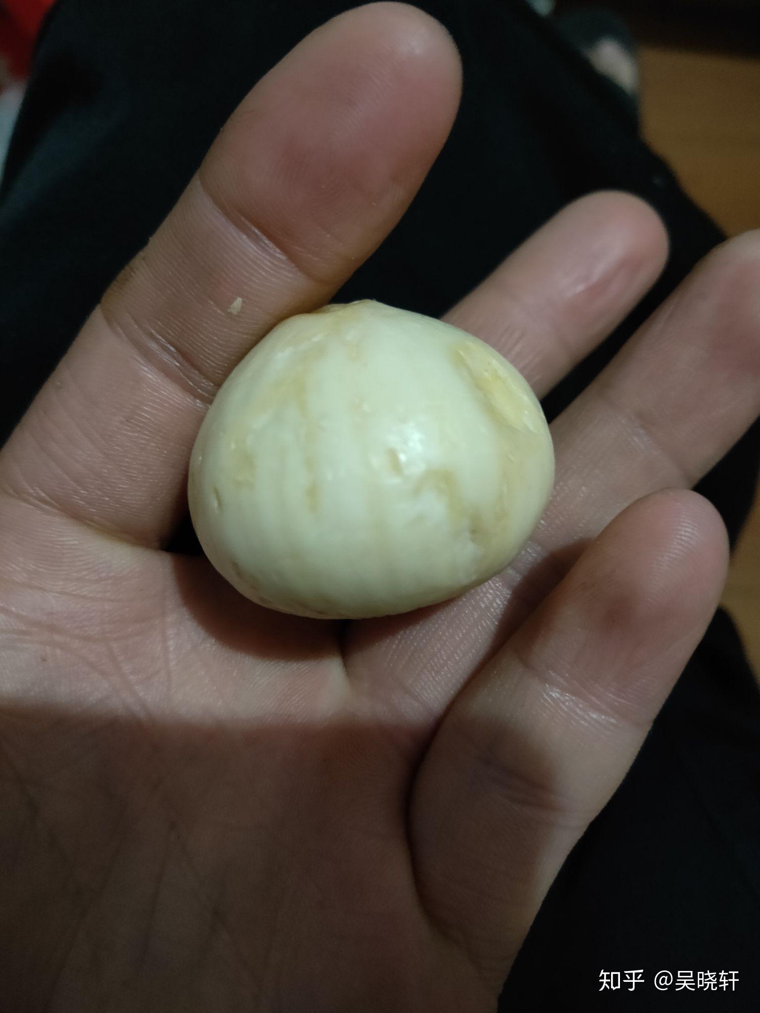 野生变异大蒜单颗五十克