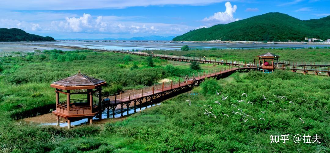 中国长寿岛海陵岛