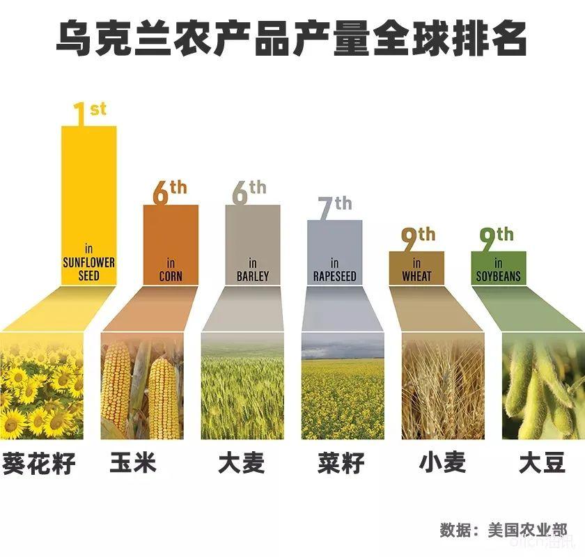 俄罗斯农产品市场