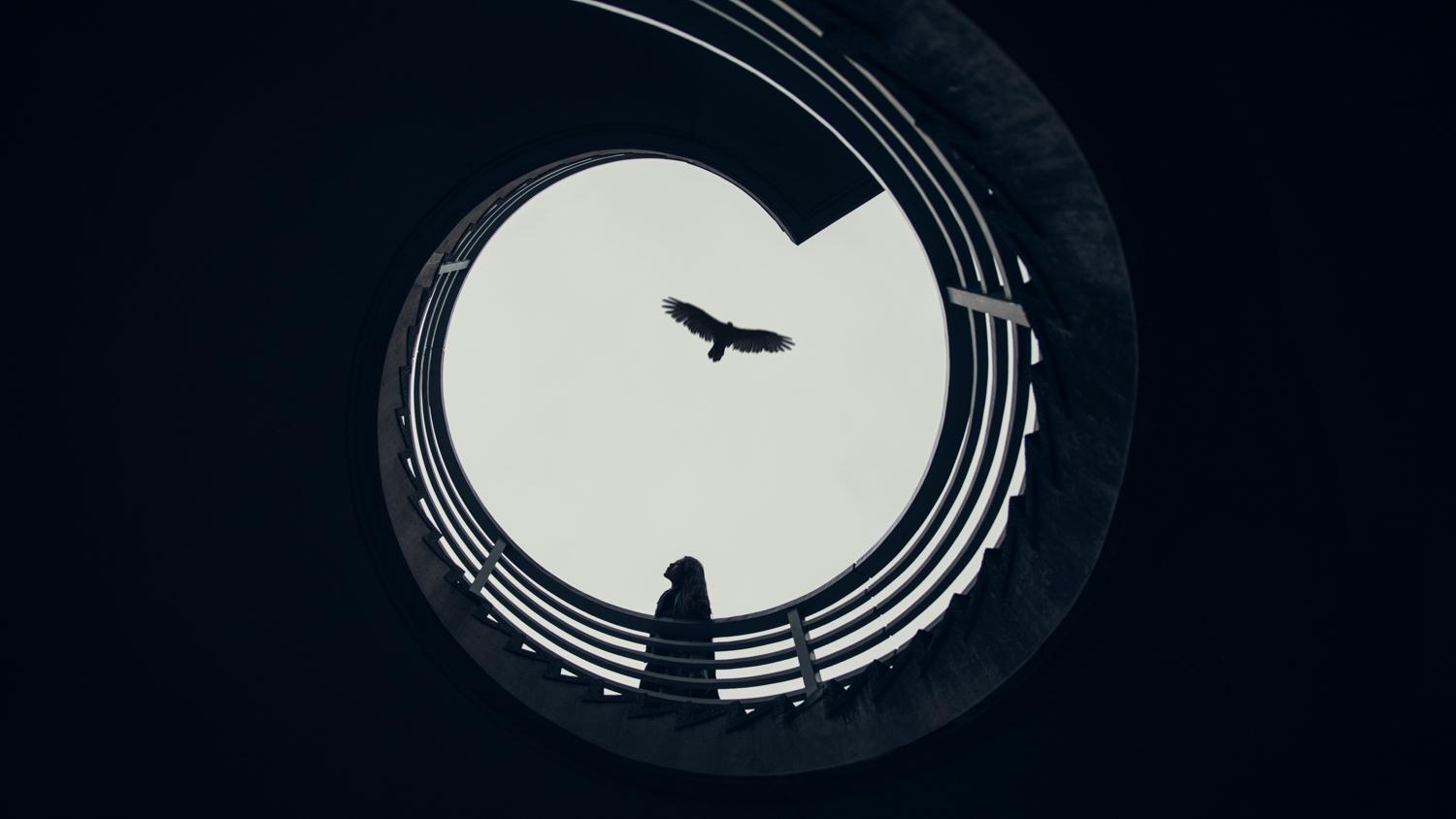 无论是颜值高低,控制好构图,剪影都可以拍出很出彩的照片.