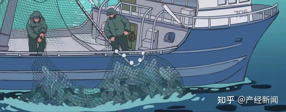 「过度捕捞」作者将我们的目光锁定在这对鱼儿母子身上,让它们带领观