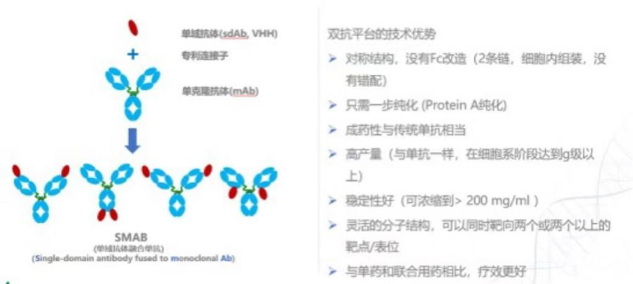 自研或引进,国内药企如何差异化布局双抗平台? - 知乎