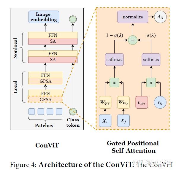 [论文阅读]ConViT: Improving Vision Transformers with Soft Convolutional ...