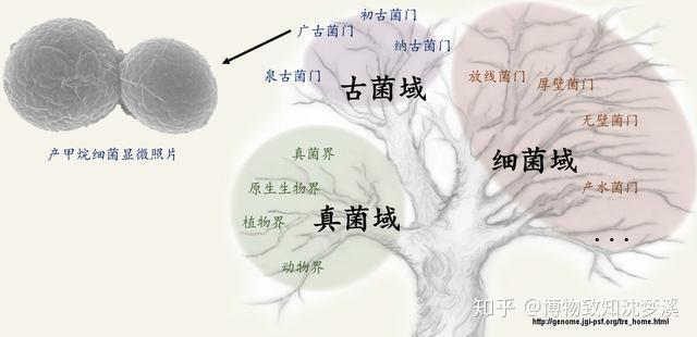 一,始太古代的日常