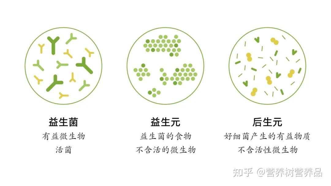 益生菌、益生元、后生元分不清?技术加持的“活菌”才是真有效! - 知乎
