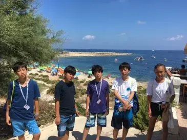 请输入图片描述