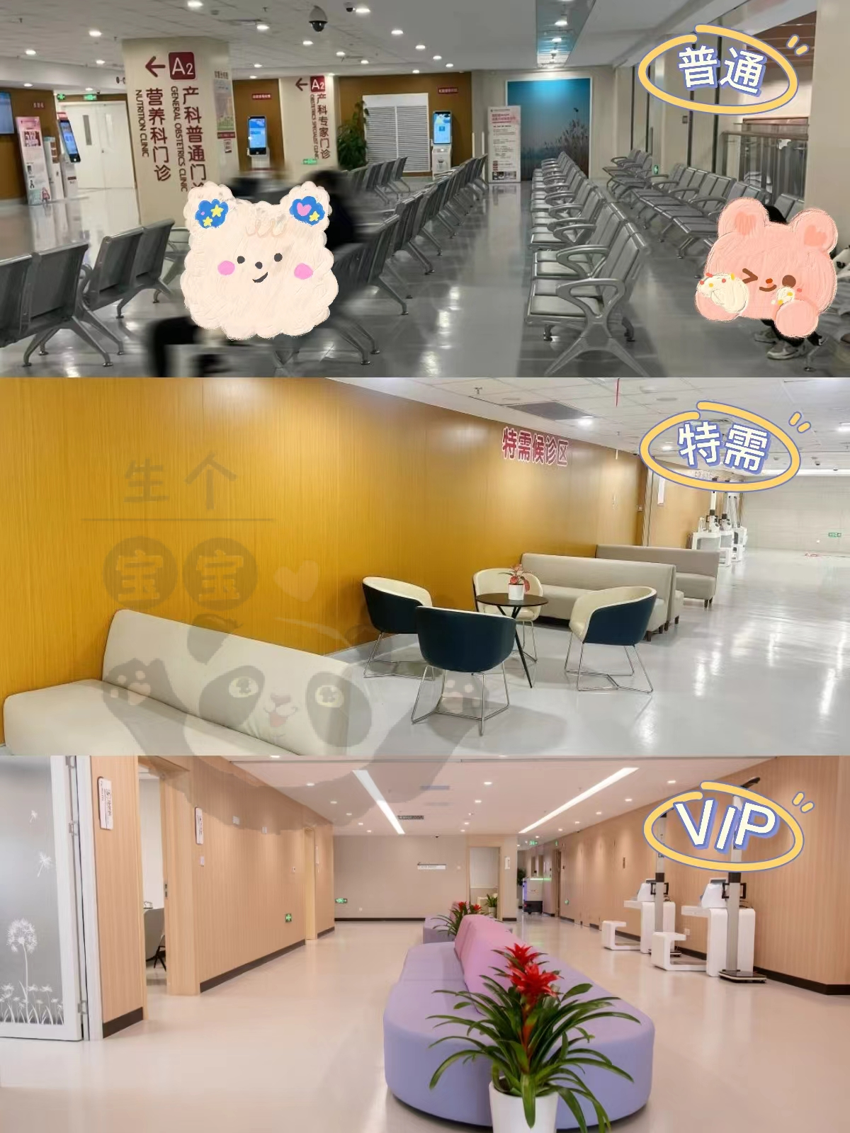上海国妇婴产科门诊信息大全:普通、特需、VIP三类门诊怎么选? - 知乎