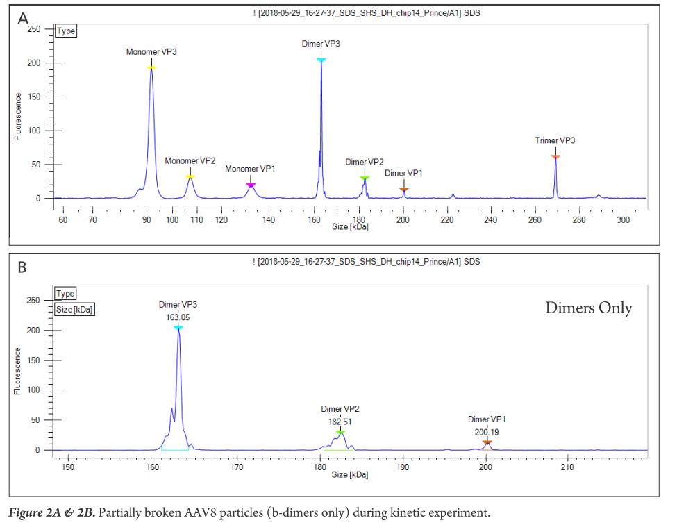 快速、高效、灵敏、多维度，PerkinElmer LabChip AAV衣壳蛋白分析助力基因治疗药物研究 - 知乎