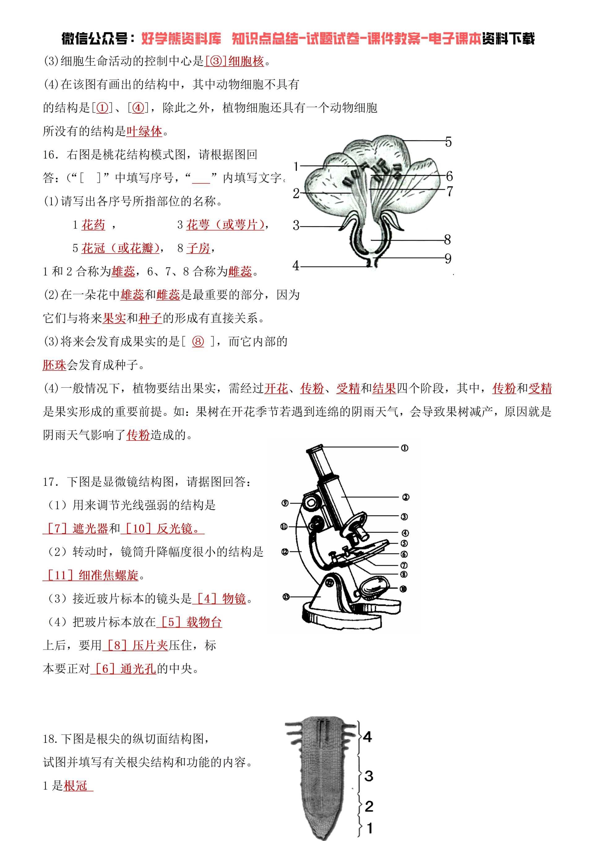 怎么学好初中生物初中生物记忆方法知识点记忆口诀生物常考知识点总结