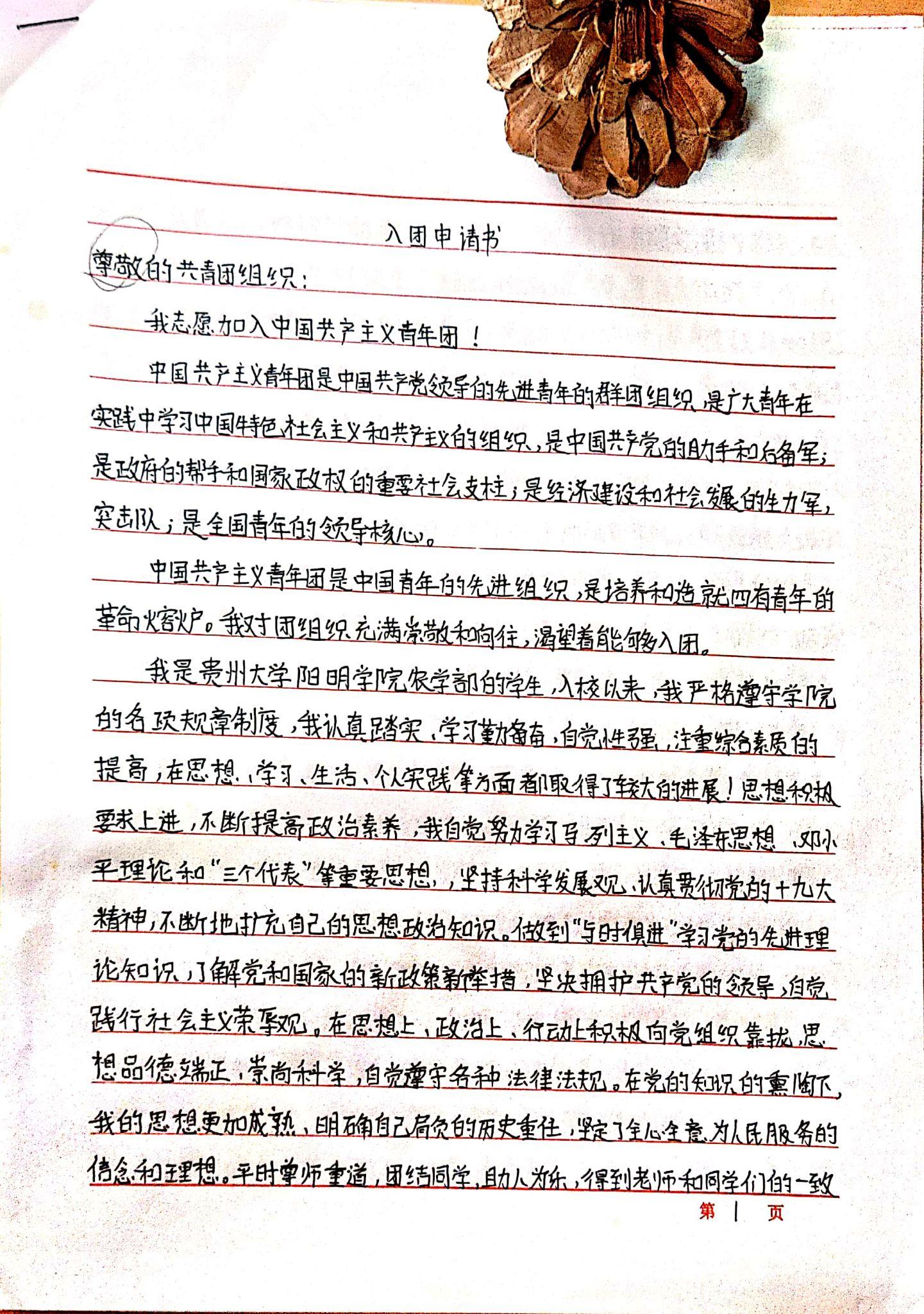 怎樣寫入團申請書