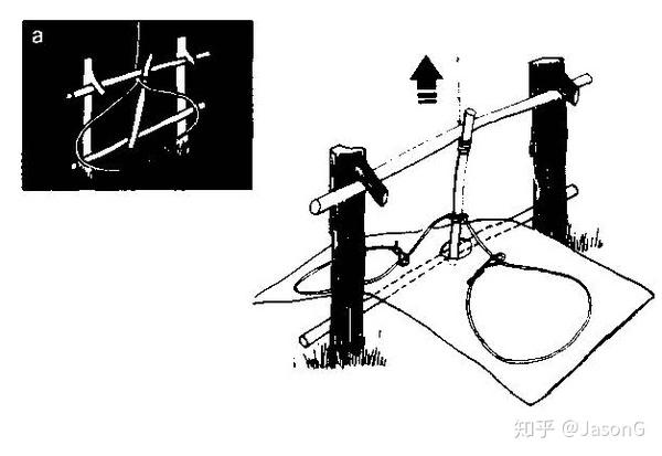 套索陷阱制作图解图片