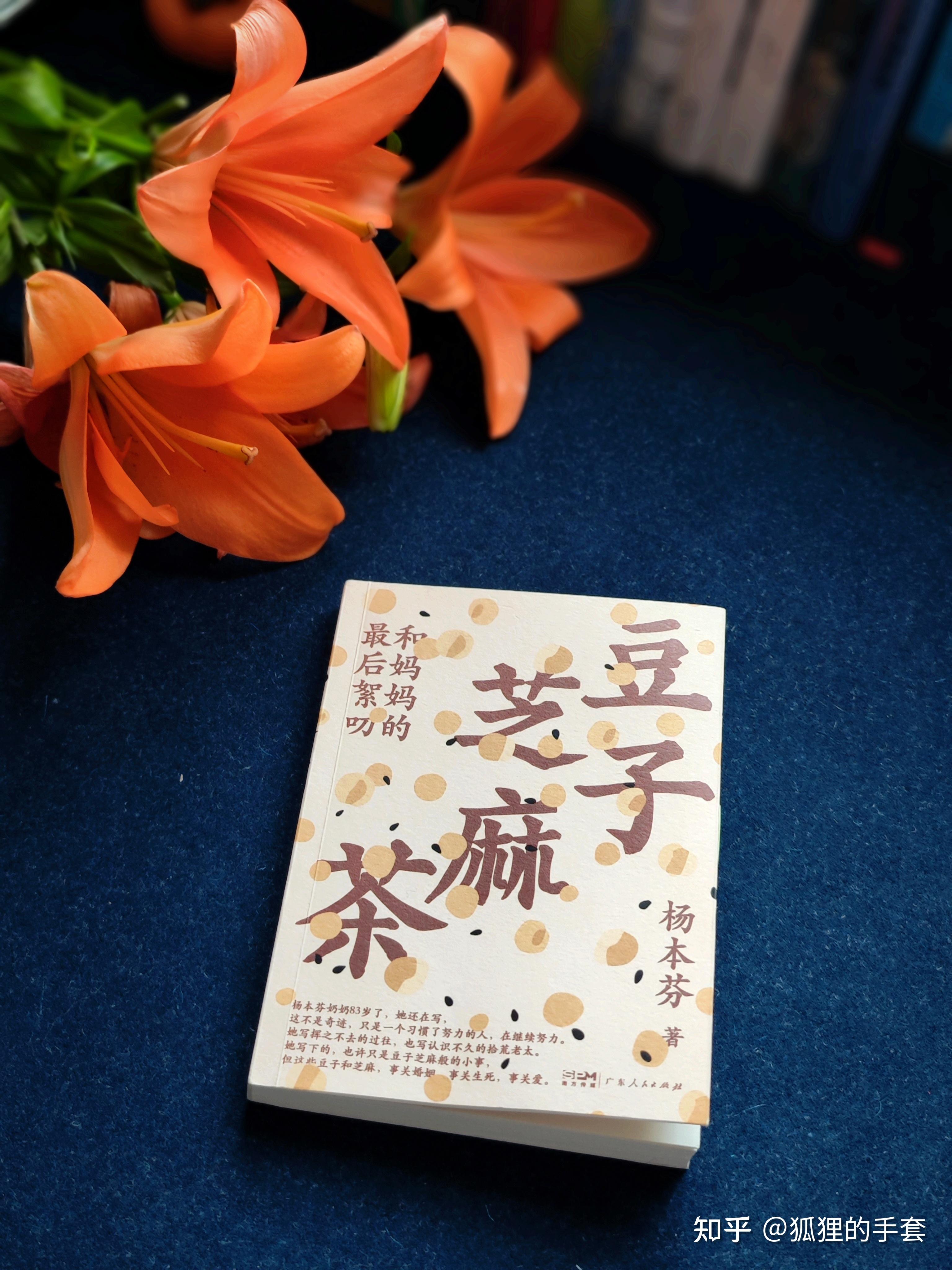 83岁的杨本芬奶奶出了第四本书《豆子芝麻茶》,一如既往地以质朴动人