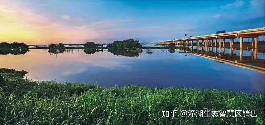 今天的潼湖,明天的松山湖